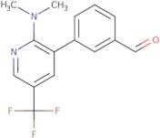 3-(2-Dimethylamino-5-trifluoromethyl-pyridin-3-yl)-benzaldehyde