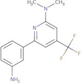 3-[2-(Dimethylamino)-4-(trifluoromethyl)pyridin-6-yl]aniline
