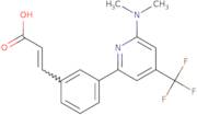(E)-3-[3-(6-Dimethylamino-4-trifluoromethyl-pyridin-2-yl)-phenyl]-acrylic acid