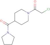 2-Chloro-1-[4-(pyrrolidine-1-carbonyl)piperidin-1-yl]ethan-1-one