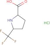 5-(Trifluoromethyl)pyrrolidine-2-carboxylic acid hydrochloride