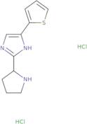 2-(Pyrrolidin-2-yl)-4-(thiophen-2-yl)-1H-imidazole dihydrochloride