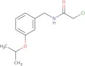 2-Chloro-N-{[3-(propan-2-yloxy)phenyl]methyl}acetamide