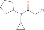 2-Chloro-N-cyclopentyl-N-cyclopropylacetamide