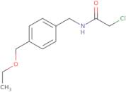 2-Chloro-N-{[4-(ethoxymethyl)phenyl]methyl}acetamide