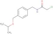 2-Chloro-N-({4-[(propan-2-yloxy)methyl]phenyl}methyl)acetamide