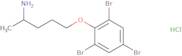 2-[(4-Aminopentyl)oxy]-1,3,5-tribromobenzene hydrochloride