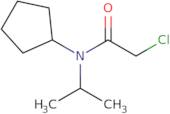 2-Chloro-N-cyclopentyl-N-(propan-2-yl)acetamide