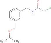 2-Chloro-N-({3-[(propan-2-yloxy)methyl]phenyl}methyl)acetamide