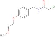 2-Chloro-N-{[4-(2-methoxyethoxy)phenyl]methyl}acetamide