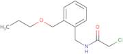 2-Chloro-N-{[2-(propoxymethyl)phenyl]methyl}acetamide