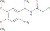 2-Chloro-N-[1-(4,5-dimethoxy-2-methylphenyl)ethyl]acetamide