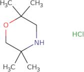 2,2,5,5-Tetramethylmorpholine hydrochloride