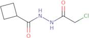 N'-(2-Chloroacetyl)cyclobutanecarbohydrazide