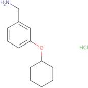 [3-(Cyclohexyloxy)phenyl]methanamine hydrochloride