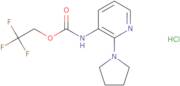 2,2,2-Trifluoroethyl N-[2-(pyrrolidin-1-yl)pyridin-3-yl]carbamate hydrochloride