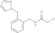 2-Chloro-N-{[2-(1H-pyrazol-1-ylmethyl)phenyl]methyl}acetamide