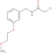 2-Chloro-N-{[3-(2-methoxyethoxy)phenyl]methyl}acetamide