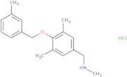 ({3,5-Dimethyl-4-[(3-methylphenyl)methoxy]phenyl}methyl)(methyl)amine hydrochloride