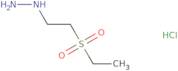 [2-(Ethanesulfonyl)ethyl]hydrazine hydrochloride