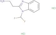 2-[1-(Difluoromethyl)-1H-1,3-benzodiazol-2-yl]ethan-1-amine dihydrochloride