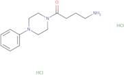 4-Amino-1-(4-phenylpiperazin-1-yl)butan-1-one dihydrochloride