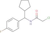 2-Chloro-N-[cyclopentyl(4-fluorophenyl)methyl]acetamide