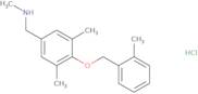 ({3,5-Dimethyl-4-[(2-methylphenyl)methoxy]phenyl}methyl)(methyl)amine hydrochloride