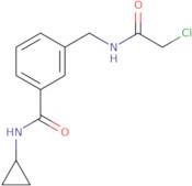 3-[(2-Chloroacetamido)methyl]-N-cyclopropylbenzamide