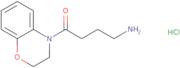 4-Amino-1-(3,4-dihydro-2H-1,4-benzoxazin-4-yl)butan-1-one hydrochloride