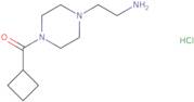 2-(4-Cyclobutanecarbonylpiperazin-1-yl)ethan-1-amine hydrochloride