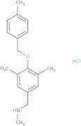 ({3,5-Dimethyl-4-[(4-methylphenyl)methoxy]phenyl}methyl)(methyl)amine hydrochloride