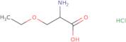 (2S)-2-Amino-3-ethoxypropanoic acid hydrochloride