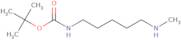 tert-Butyl N-[5-(methylamino)pentyl]carbamate