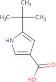 5-tert-Butyl-1H-pyrrole-3-carboxylic acid