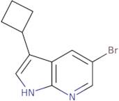 5-Bromo-3-cyclobutyl-1H-pyrrolo[2,3-b]pyridine