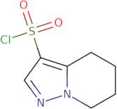 4H,5H,6H,7H-Pyrazolo[1,5-a]pyridine-3-sulfonyl chloride