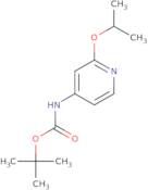 tert-Butyl N-[2-(propan-2-yloxy)pyridin-4-yl]carbamate