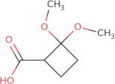 2,2-Dimethoxycyclobutane-1-carboxylic acid