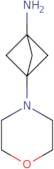 3-(Morpholin-4-yl)bicyclo[1.1.1]pentan-1-amine