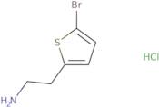 2-(5-Bromo-thiophen-2-yl)-ethylamine hydrochloride