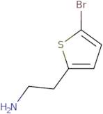 2-(5-Bromothiophen-2-yl)ethan-1-amine