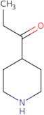 1-(Piperidin-4-yl)propan-1-one