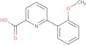 6-(2-Methoxyphenyl)pyridine-2-carboxylic acid