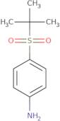 4-(2-Methylpropane-2-sulfonyl)aniline