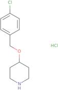 4-(4-Chloro-benzyloxy)-piperidine hydrochloride