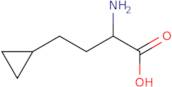 (R)-2-Amino-4-cyclopropylbutanoic acid