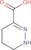 1,4,5,6-Tetrahydro-pyridazine-3-carboxylic acid