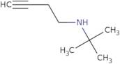 (But-3-yn-1-yl)(tert-butyl)amine