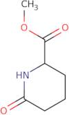 6-Oxo-piperidine-2-carboxylic Acid Methyl Ester